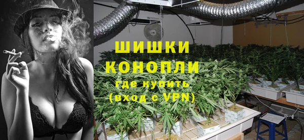 стафф Майский
