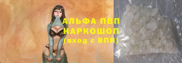 стафф Майский