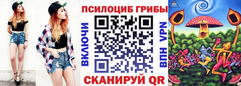 Псилоцибиновые грибы Psilocybe  Южно-Сухокумск 